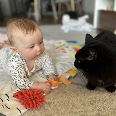 Friends or enemies?