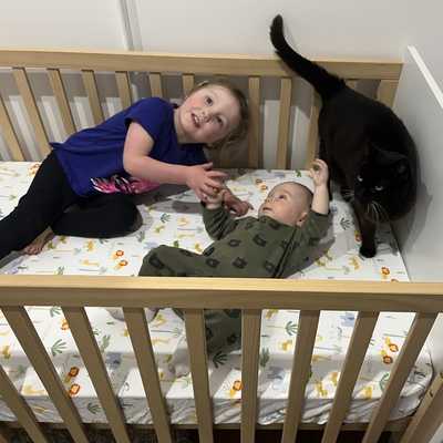 Ari's bed - the new coolest place to be in the house