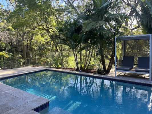 Our new backyard