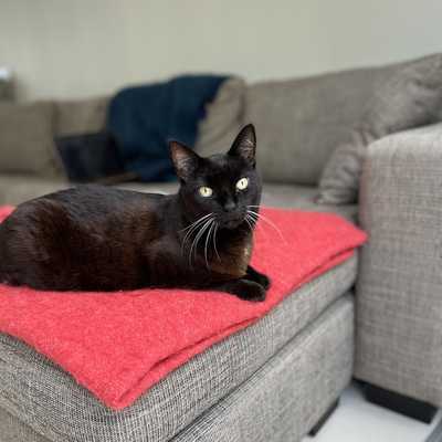 A photo of Kiki