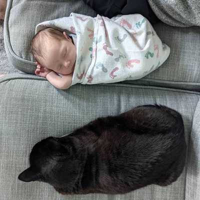 Joint nap time