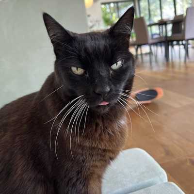 Kiki's little dirp